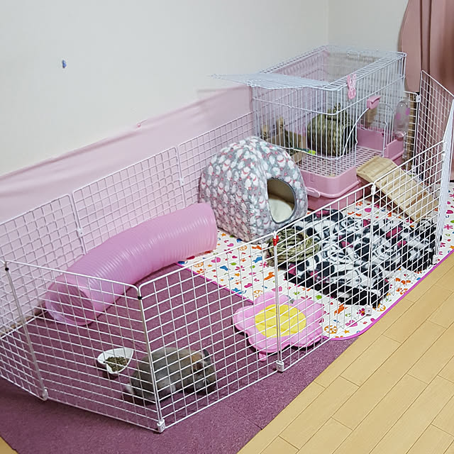 rviさんの実例写真