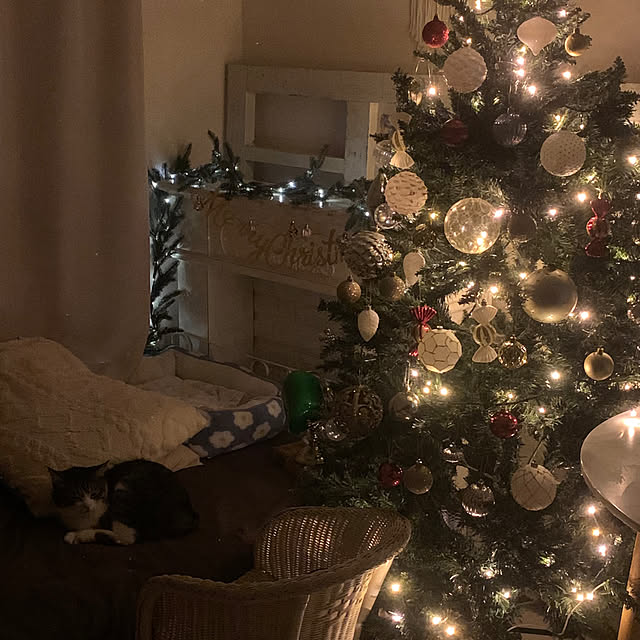 Rabbitさんの実例写真