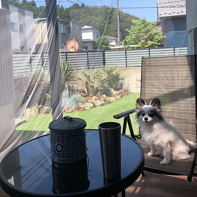 satoooさんの実例写真