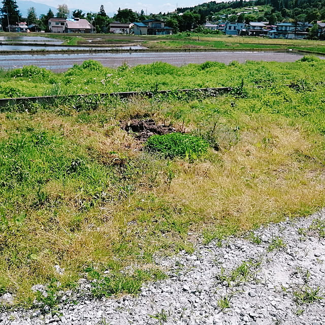 Manaさんの実例写真