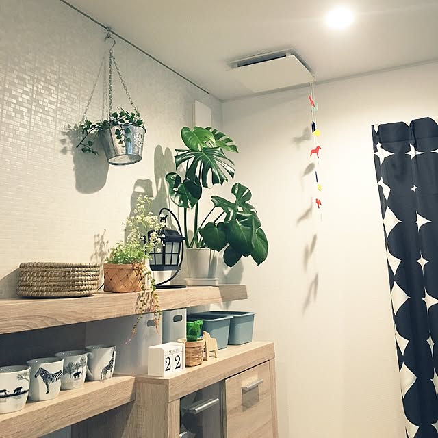 taitaiさんの実例写真