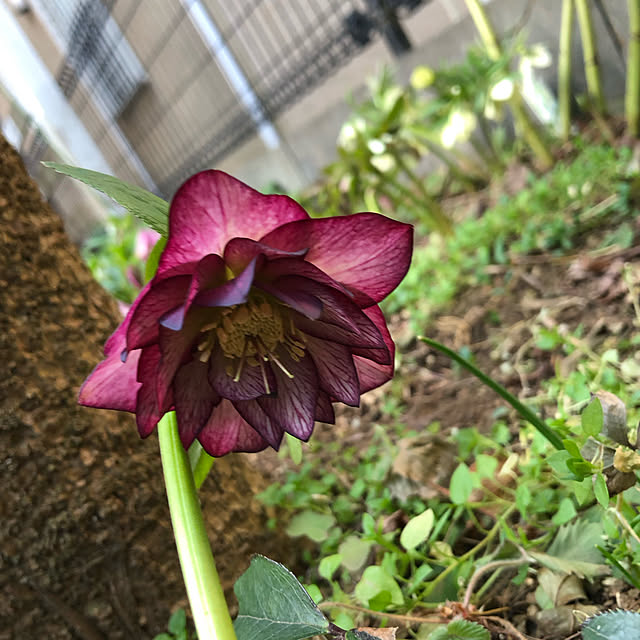 sunchilさんの実例写真