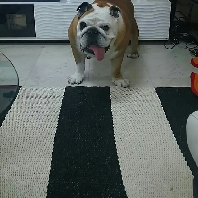 AandPさんの実例写真