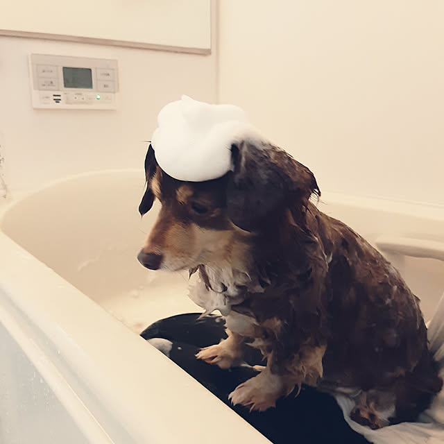 rikakoさんの実例写真