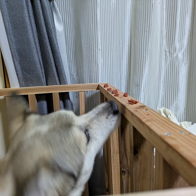 asaさんの実例写真