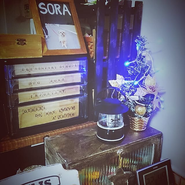 soraさんの実例写真
