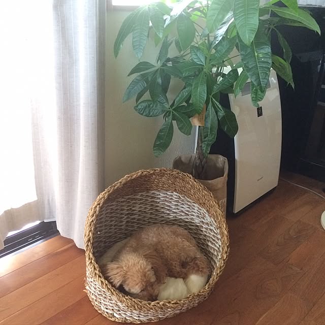 takechiさんの実例写真