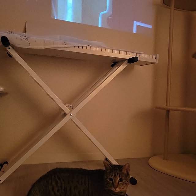 naoさんの実例写真