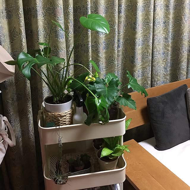 aikuさんの実例写真