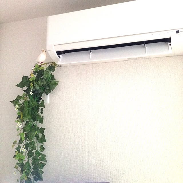 melonさんの実例写真