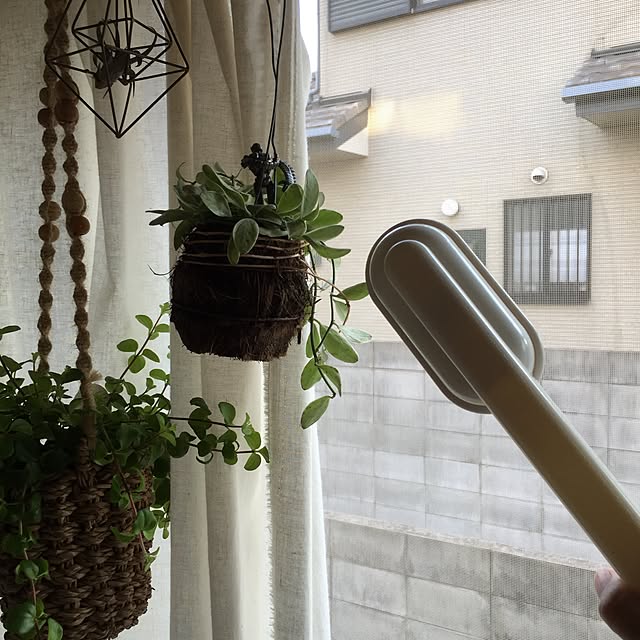 miki_kさんの実例写真