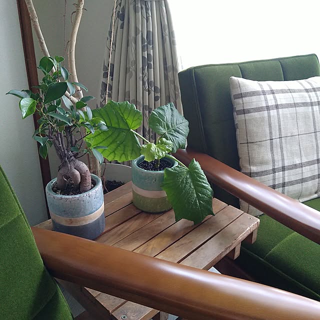 sakusakuさんの部屋
