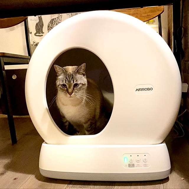 butachanさんの実例写真