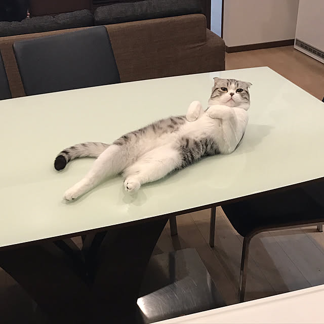 Dahliaさんの実例写真