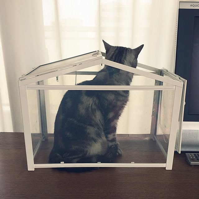 mikomaruさんの実例写真