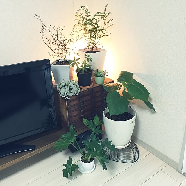 maa_a1112さんの実例写真