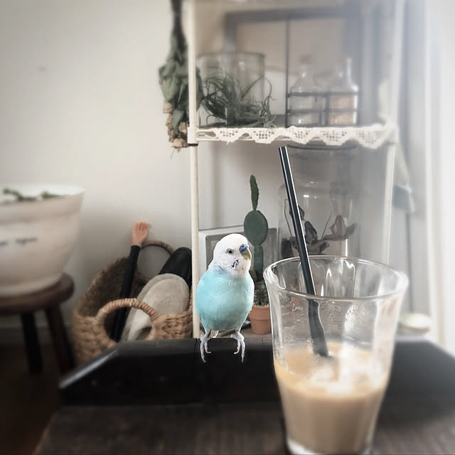 ponponHOUSEさんの実例写真