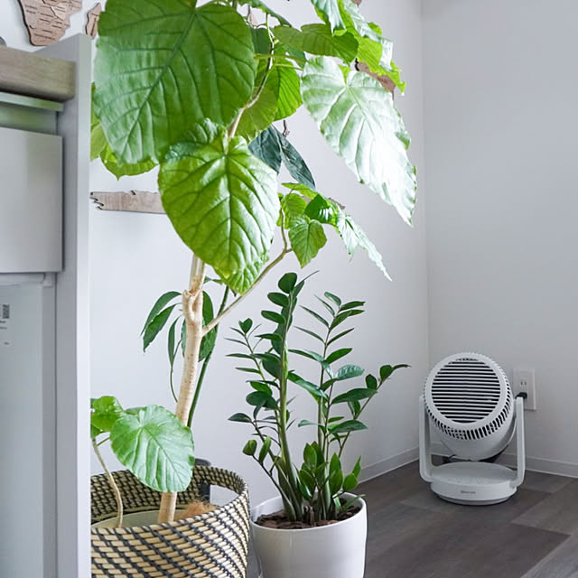 Saraさんの実例写真