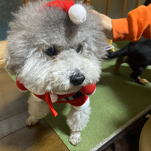 meguko.ryanさんの実例写真