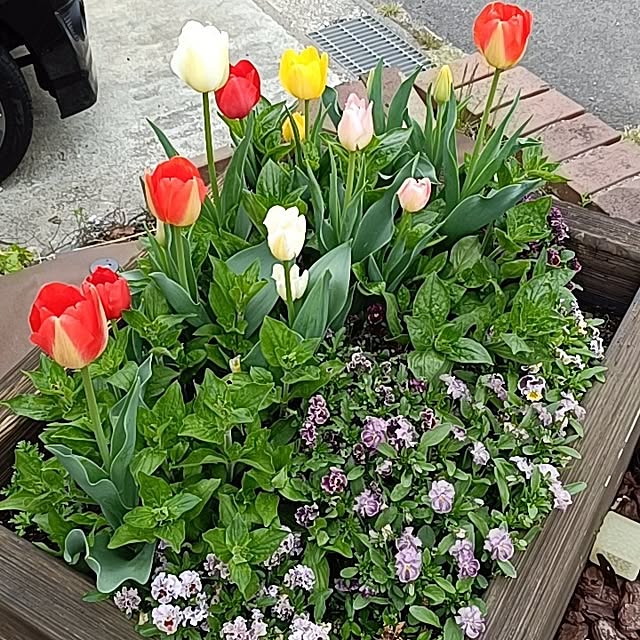 tamachan235さんの実例写真