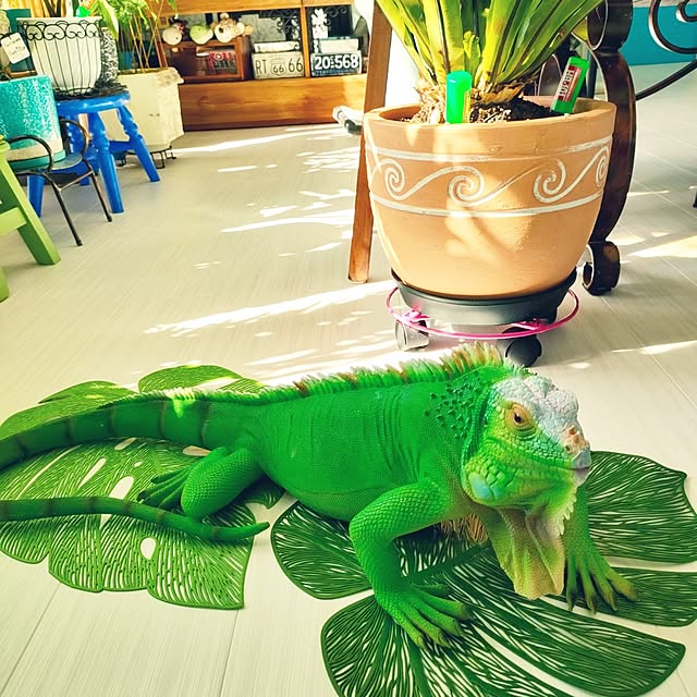 nacchanさんの部屋