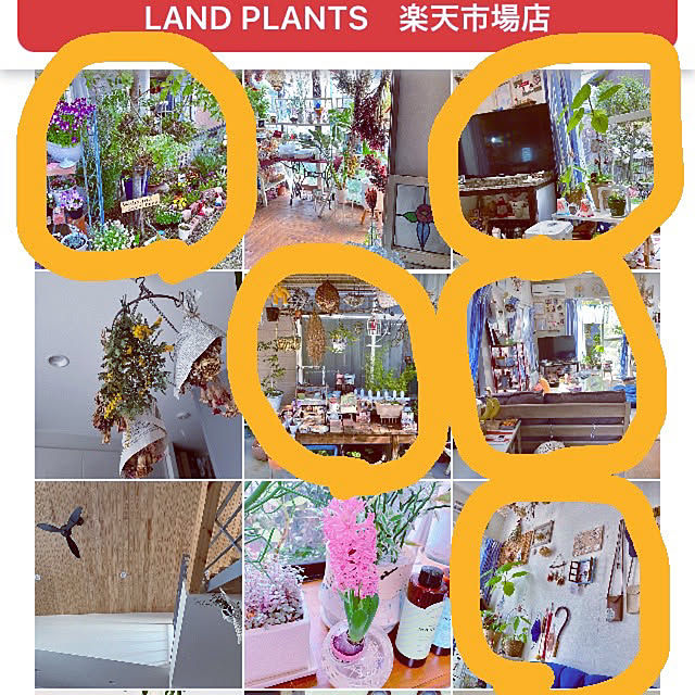 takakoさんの実例写真