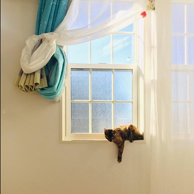 Tanukoさんの実例写真