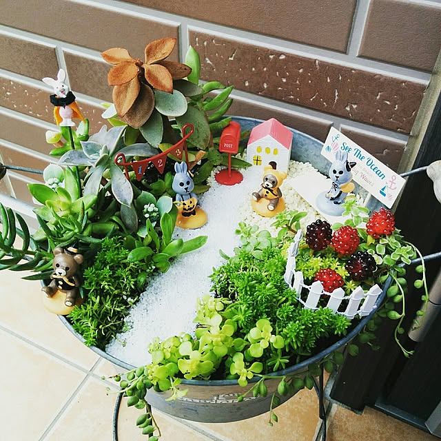 多肉植物 ミニチュアガーデンのおしゃれなアレンジ・飾り方の 多肉植物 ミニチュアガーデンのおしゃれなアレンジ・飾り方の