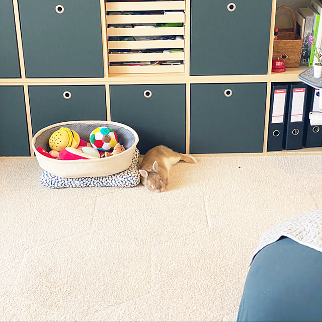 Aiさんの実例写真