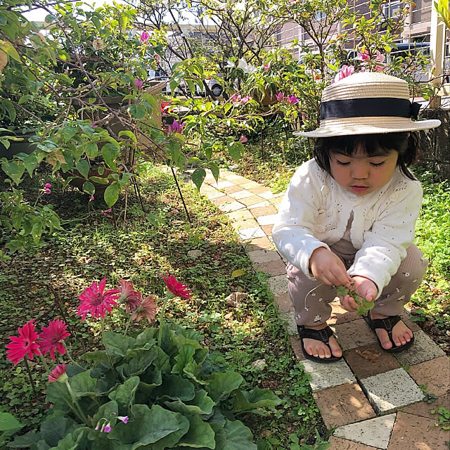 coraruさんの実例写真