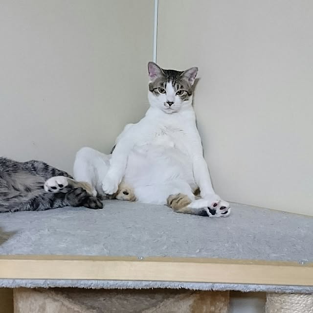 hina0131811さんの実例写真