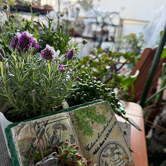 Aqettyさんの部屋