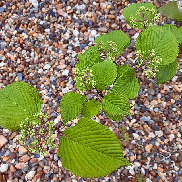 ayayayayaさんの部屋