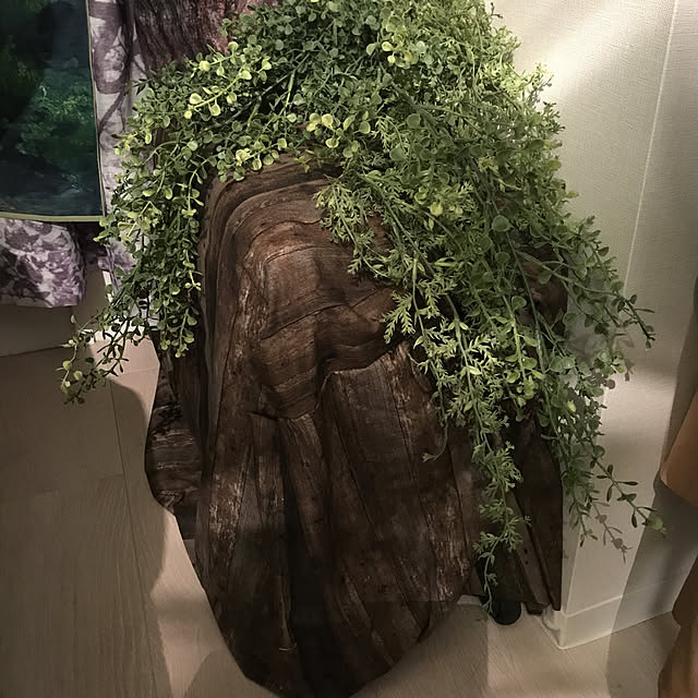 reiさんの実例写真