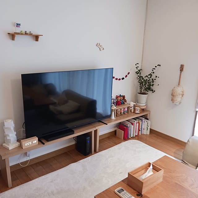 mizukingyoさんの実例写真