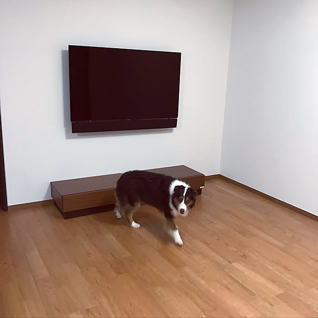 hayasanさんの実例写真