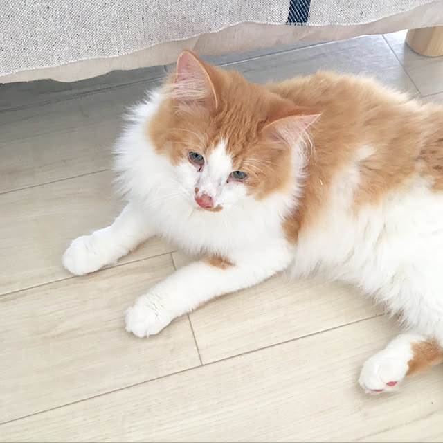k.さんの実例写真