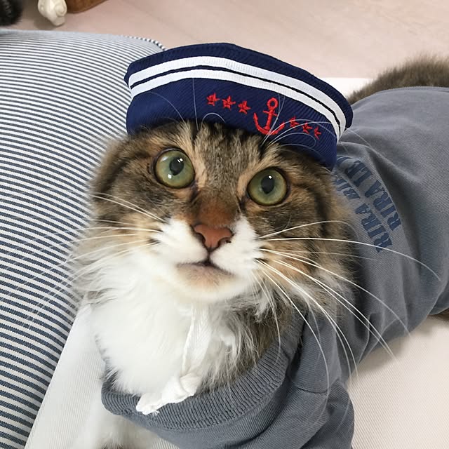 yuchiさんの実例写真