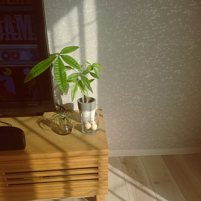 shiroさんの実例写真