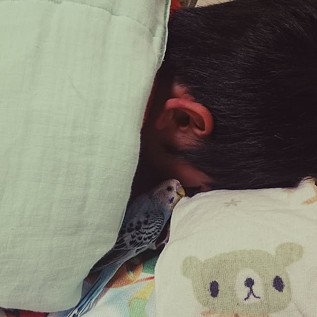 kenshuさんの実例写真