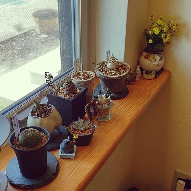 t.yumiさんの部屋