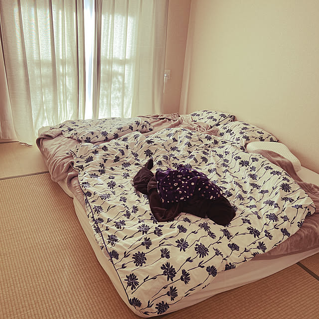 erk.82さんの実例写真