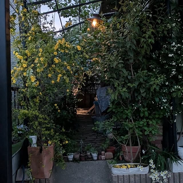 mori_6_12さんの実例写真