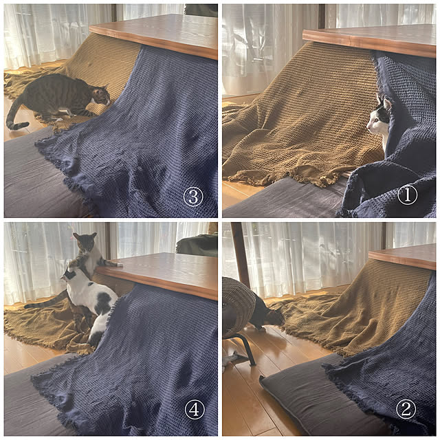 nobikoさんの実例写真