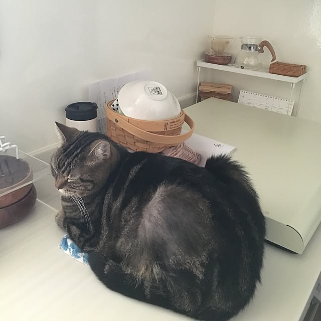 mikomaruさんの実例写真
