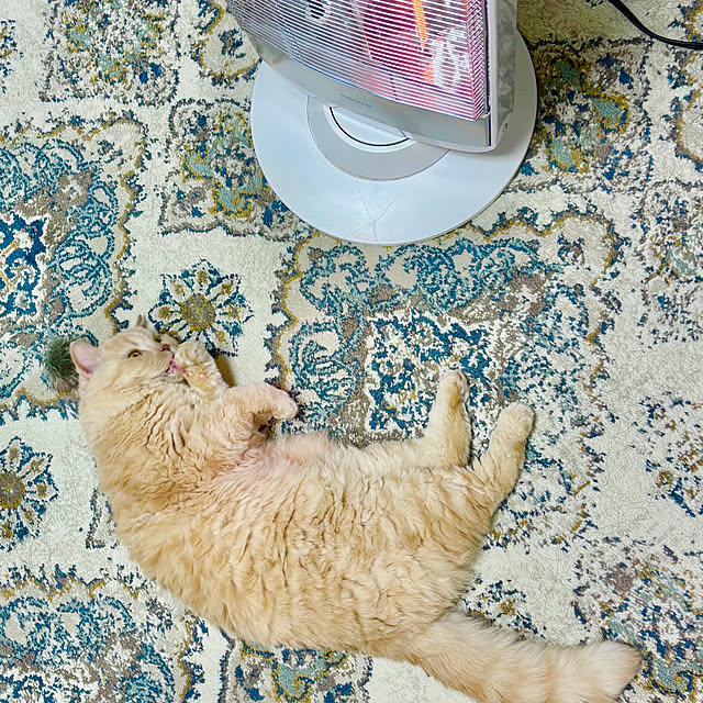 naokoさんの実例写真