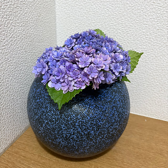 nannoさんの部屋