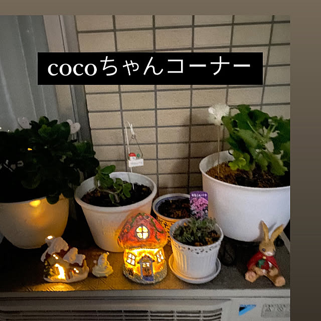 YuuKoさんの部屋