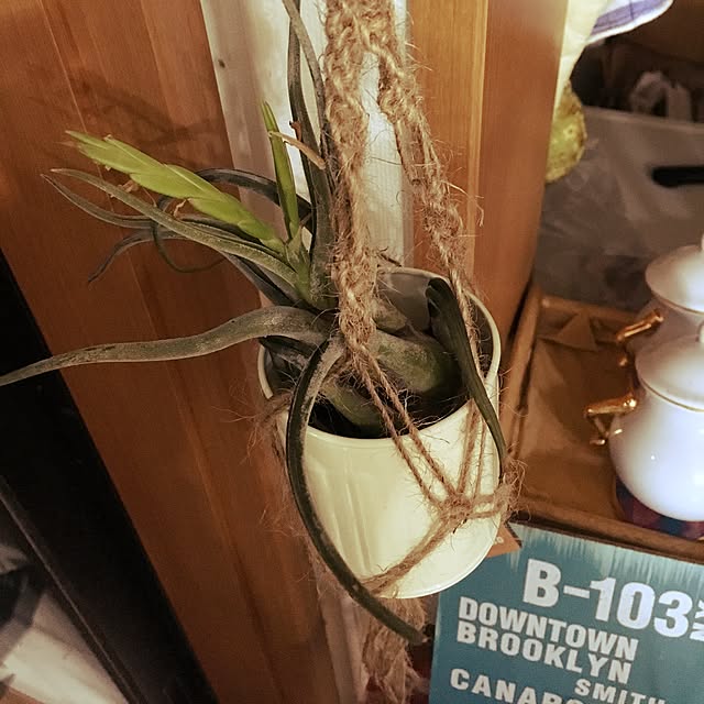 kazzy44hpさんの実例写真