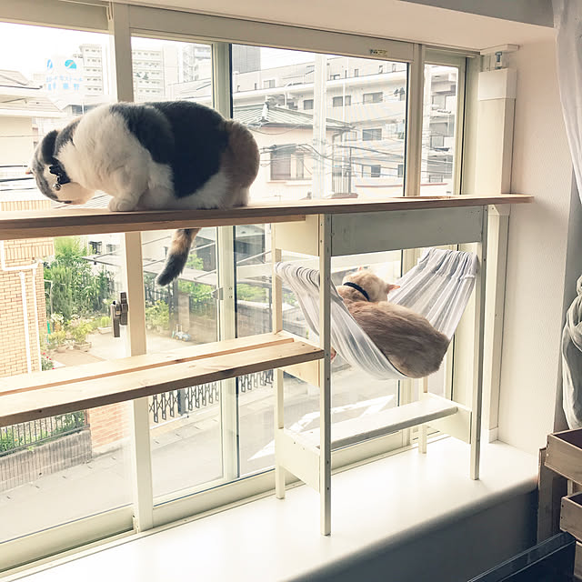 bambi_eyeさんの実例写真